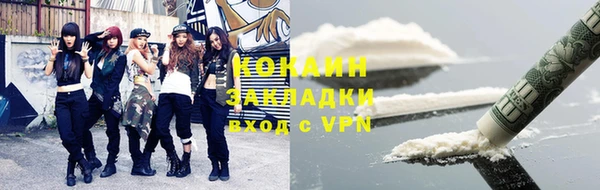 прущие грибы Аркадак
