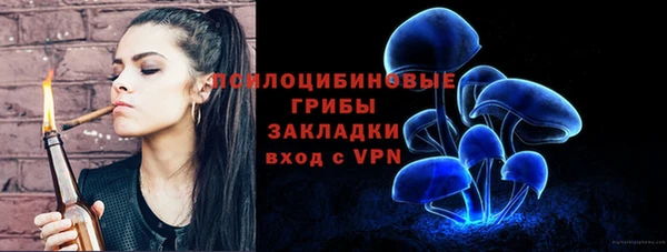 прущие грибы Аркадак