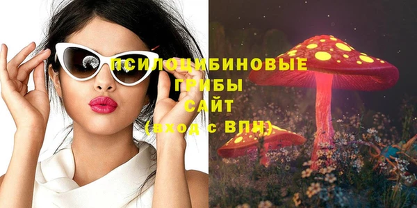 крисы Арсеньев