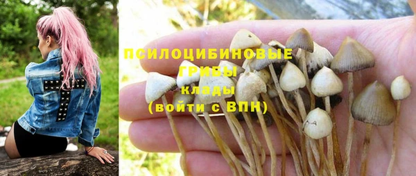бошки Армянск